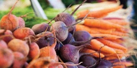 Zatim posadite šargarepu